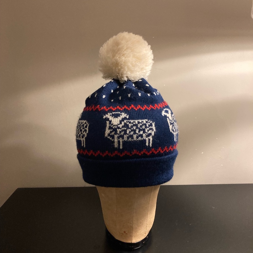 Pendleton wool hat